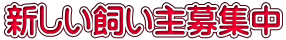 新しい飼い主募集中